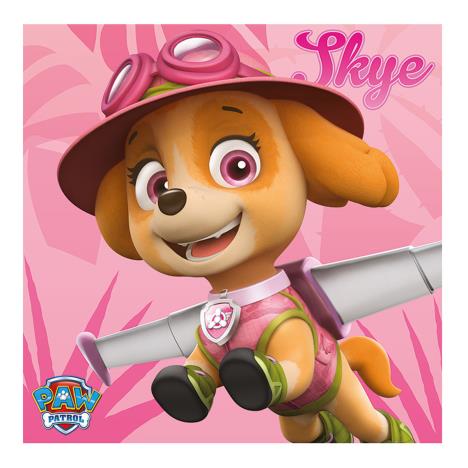 Paw Patrol Skye Canvas Print £29.99